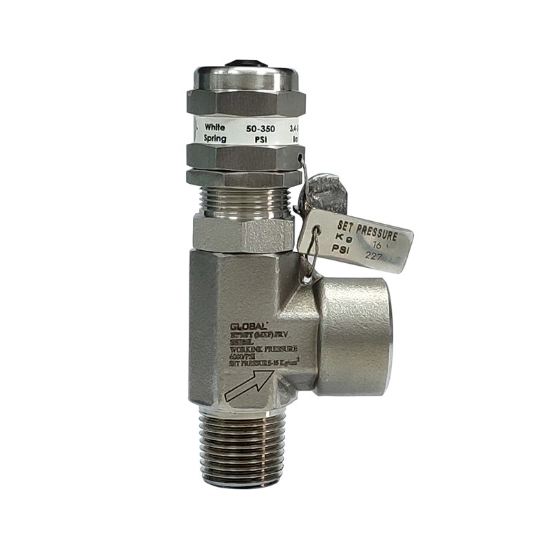 Safety Relief Valve