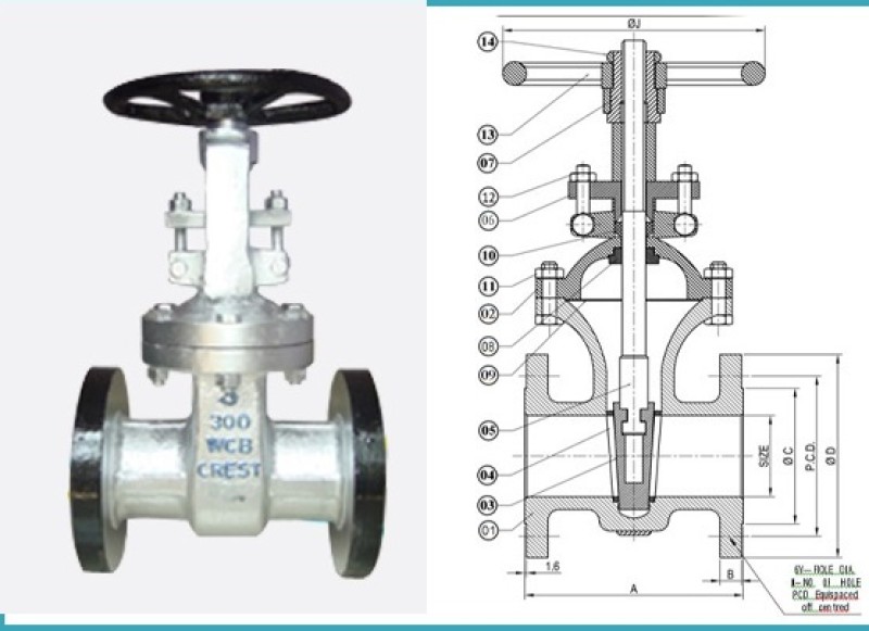 Gate Valves Class 150/300